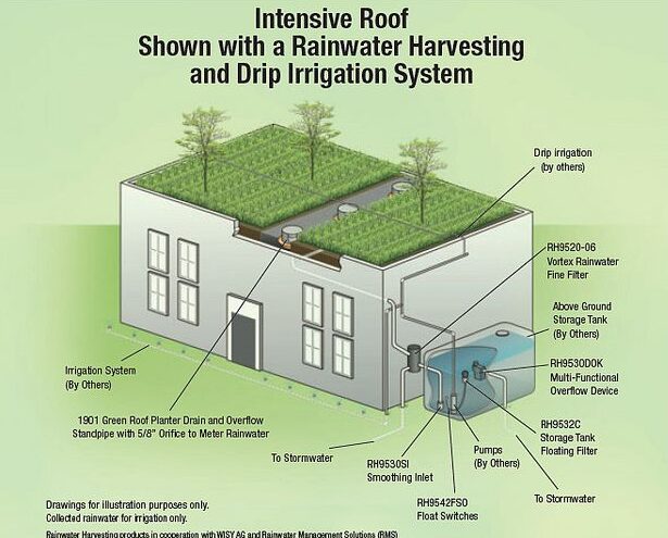 Green Roofs Rainwater Harvesting